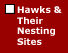 Hawks & Their Nesting Sites